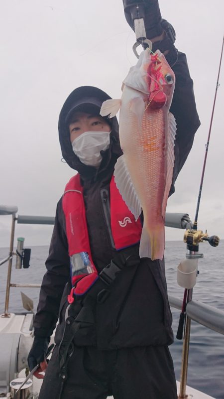 ARCADIAⅡ (アルカディアⅡ) 釣果