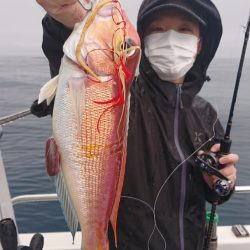 ARCADIAⅡ (アルカディアⅡ) 釣果