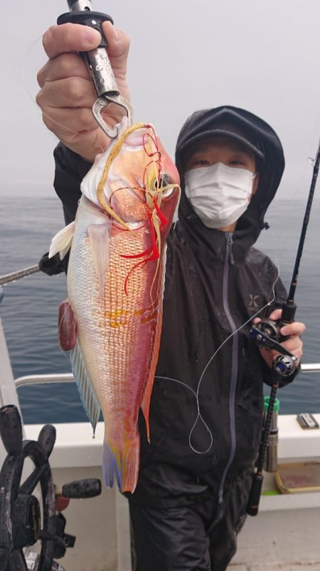 ARCADIAⅡ (アルカディアⅡ) 釣果