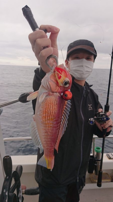 ARCADIAⅡ (アルカディアⅡ) 釣果