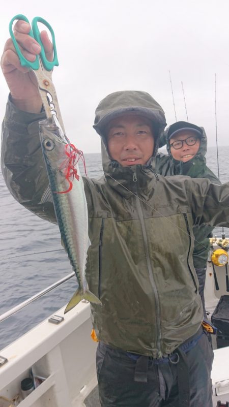 ARCADIAⅡ (アルカディアⅡ) 釣果