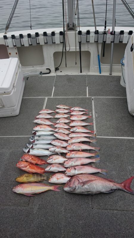 ARCADIAⅡ (アルカディアⅡ) 釣果