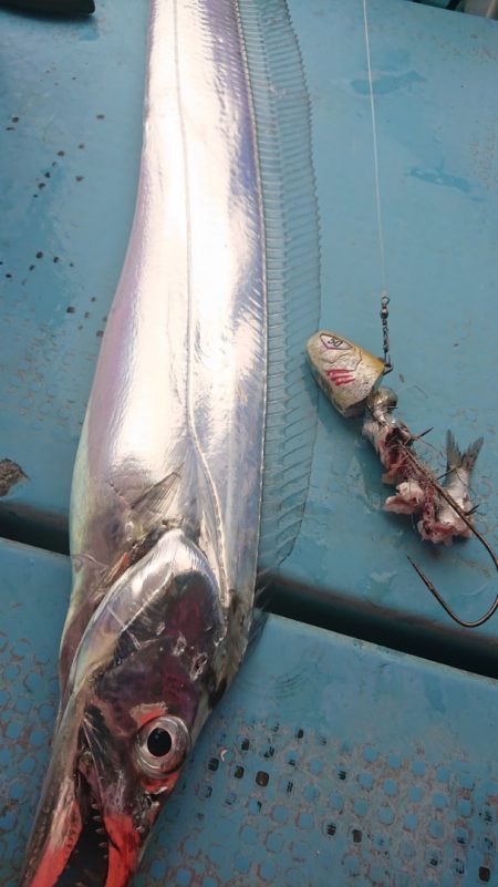 シースナイパー海龍 釣果