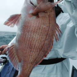 新幸丸 釣果