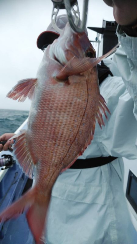 新幸丸 釣果
