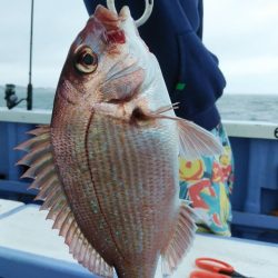 新幸丸 釣果