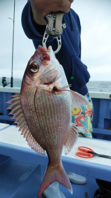 新幸丸 釣果