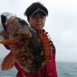 新幸丸 釣果