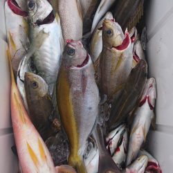 海皇丸 釣果