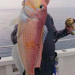 ARCADIAⅡ （アルカディアⅡ） 釣果