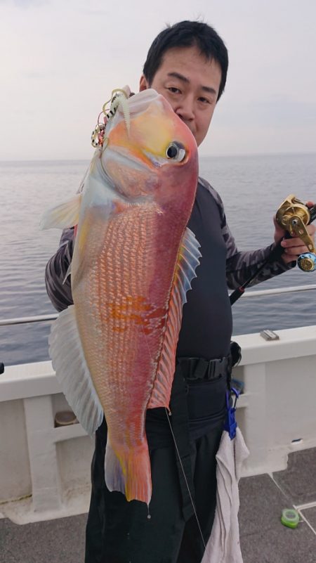 ARCADIAⅡ （アルカディアⅡ） 釣果