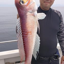 ARCADIAⅡ （アルカディアⅡ） 釣果