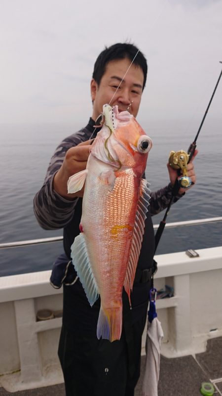 ARCADIAⅡ （アルカディアⅡ） 釣果