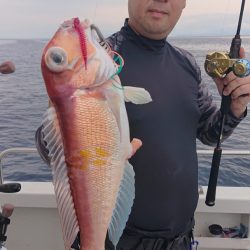 ARCADIAⅡ （アルカディアⅡ） 釣果