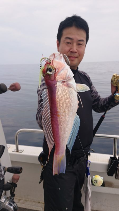 ARCADIAⅡ （アルカディアⅡ） 釣果