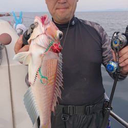 ARCADIAⅡ （アルカディアⅡ） 釣果