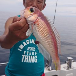 ARCADIAⅡ （アルカディアⅡ） 釣果