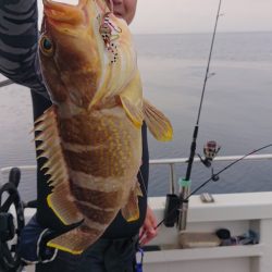 ARCADIAⅡ （アルカディアⅡ） 釣果