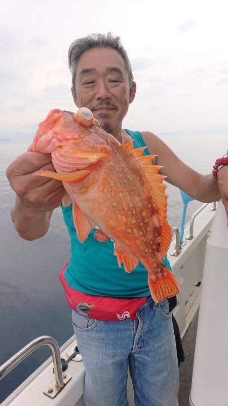 ARCADIAⅡ （アルカディアⅡ） 釣果