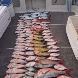 ARCADIAⅡ （アルカディアⅡ） 釣果