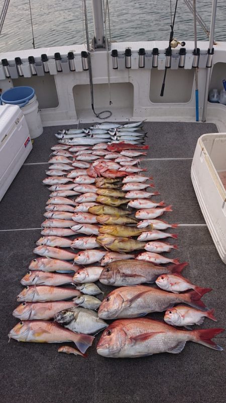 ARCADIAⅡ （アルカディアⅡ） 釣果