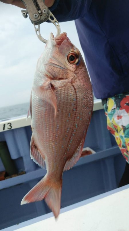 新幸丸 釣果