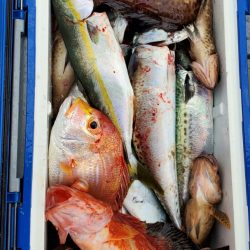 一華丸 釣果