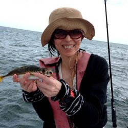 金沢八景鴨下丸 釣果