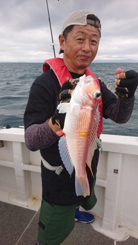 ARCADIAⅡ （アルカディアⅡ） 釣果