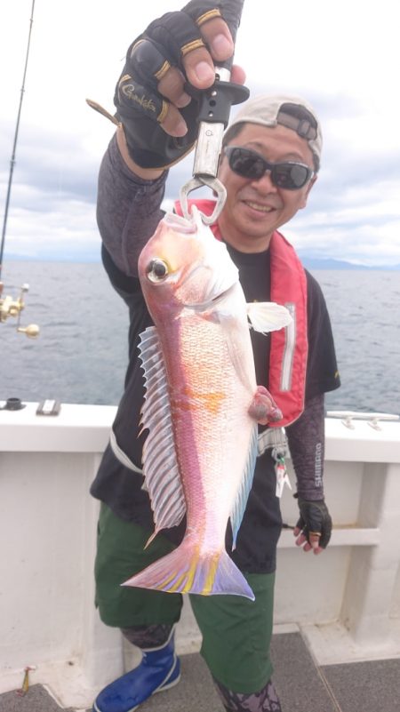 ARCADIAⅡ （アルカディアⅡ） 釣果