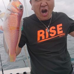 ARCADIAⅡ （アルカディアⅡ） 釣果