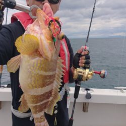 ARCADIAⅡ （アルカディアⅡ） 釣果