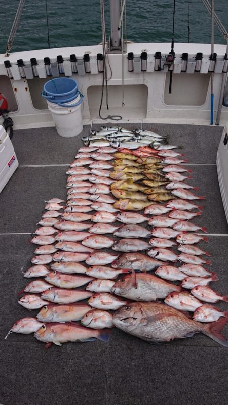 ARCADIAⅡ （アルカディアⅡ） 釣果