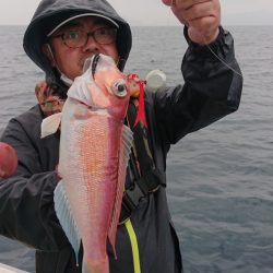 ARCADIAⅡ (アルカディアⅡ) 釣果