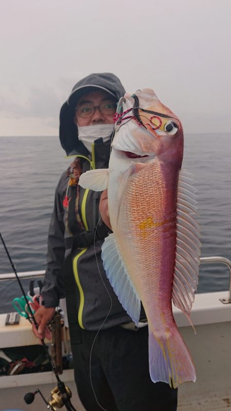 ARCADIAⅡ (アルカディアⅡ) 釣果