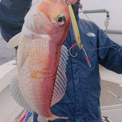 ARCADIAⅡ (アルカディアⅡ) 釣果