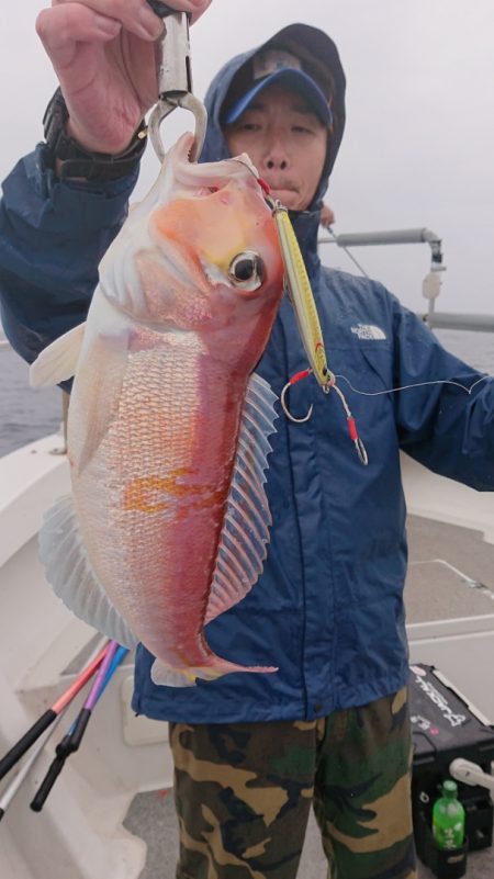 ARCADIAⅡ (アルカディアⅡ) 釣果