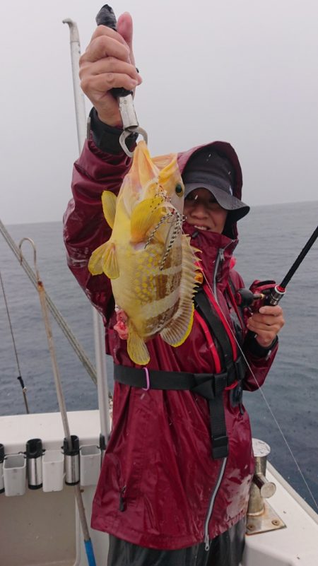 ARCADIAⅡ (アルカディアⅡ) 釣果