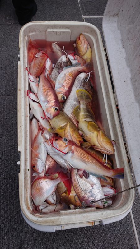 ARCADIAⅡ (アルカディアⅡ) 釣果