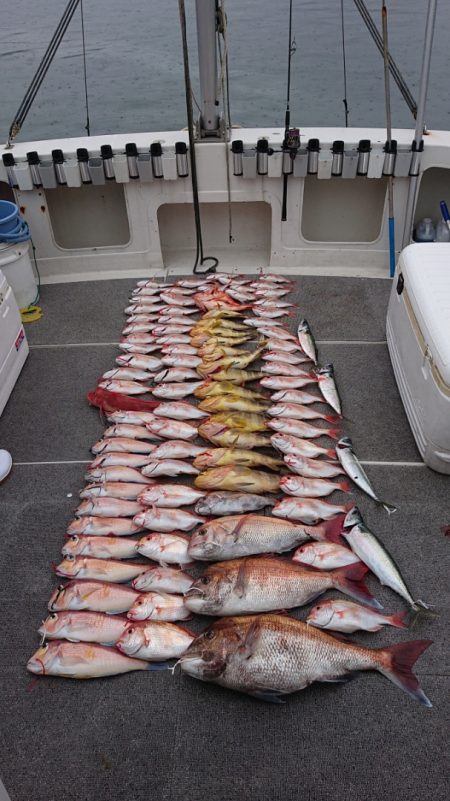 ARCADIAⅡ (アルカディアⅡ) 釣果