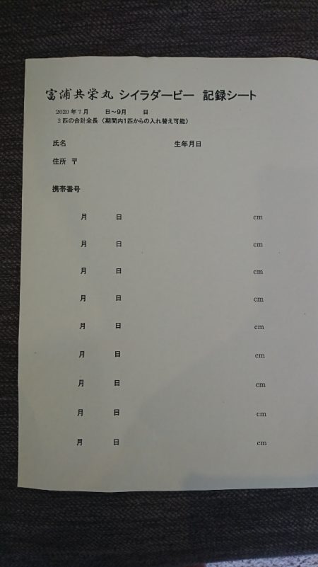 第三共栄丸 釣果