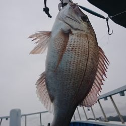 第三共栄丸 釣果