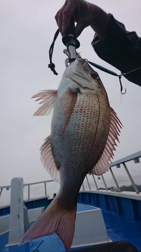 第三共栄丸 釣果