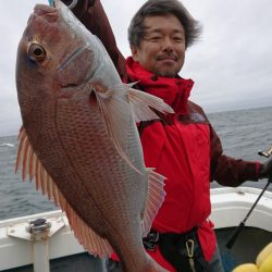 だて丸 釣果