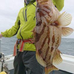 だて丸 釣果
