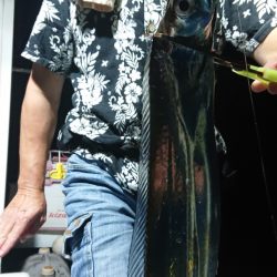 シースナイパー海龍 釣果