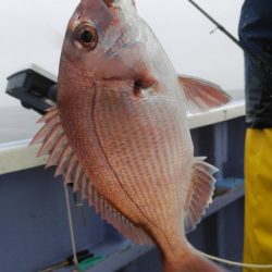 新幸丸 釣果