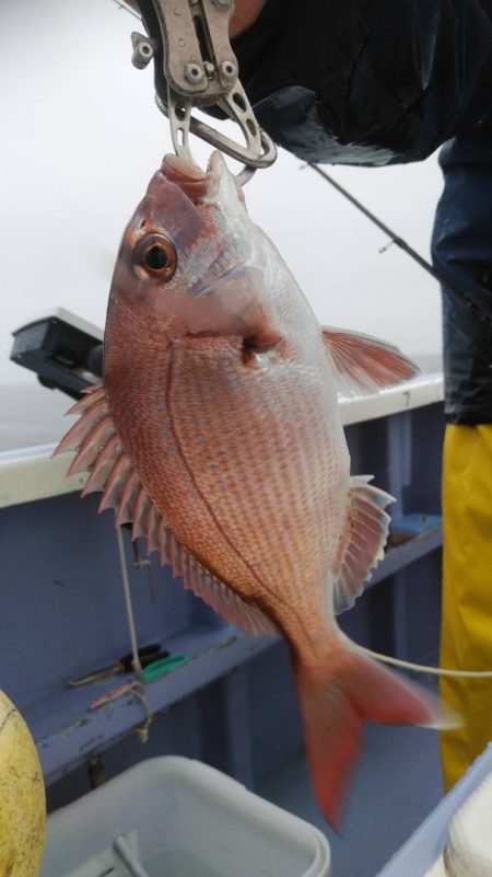 新幸丸 釣果