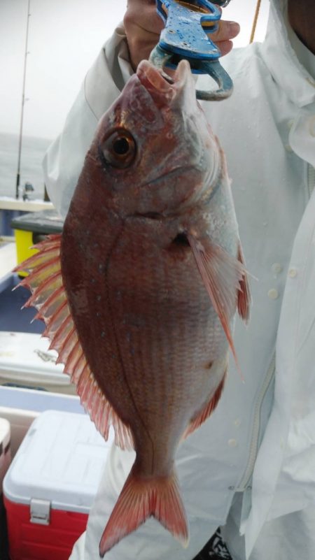 新幸丸 釣果