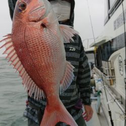 だて丸 釣果